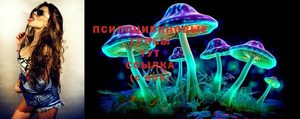 СК Абдулино