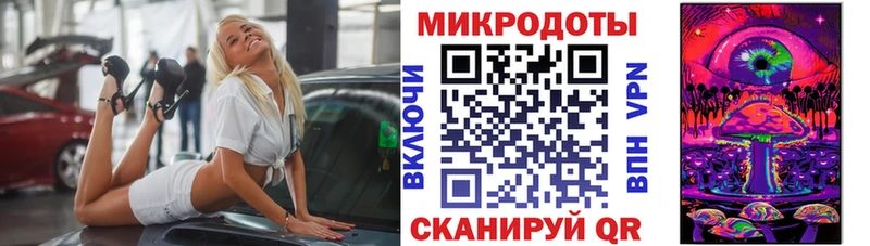 Галлюциногенные грибы Psilocybe  Алзамай 