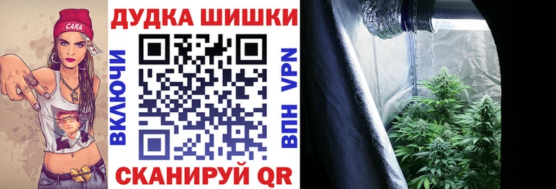 закладки  мега онион  Шишки марихуана THC 21%  Алзамай 